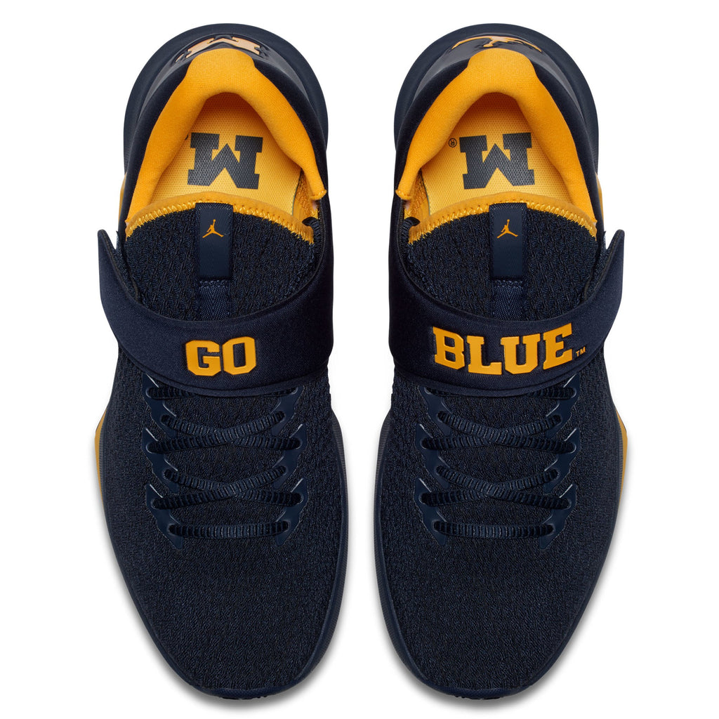 Michigan jordan clearance trainer