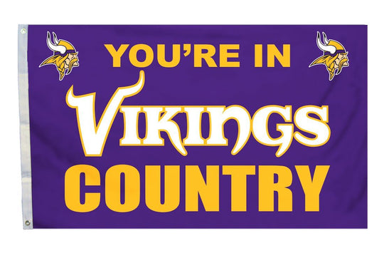 Minnesota Vikings NFL Flag 3'×5' - Fan Shop TODAY