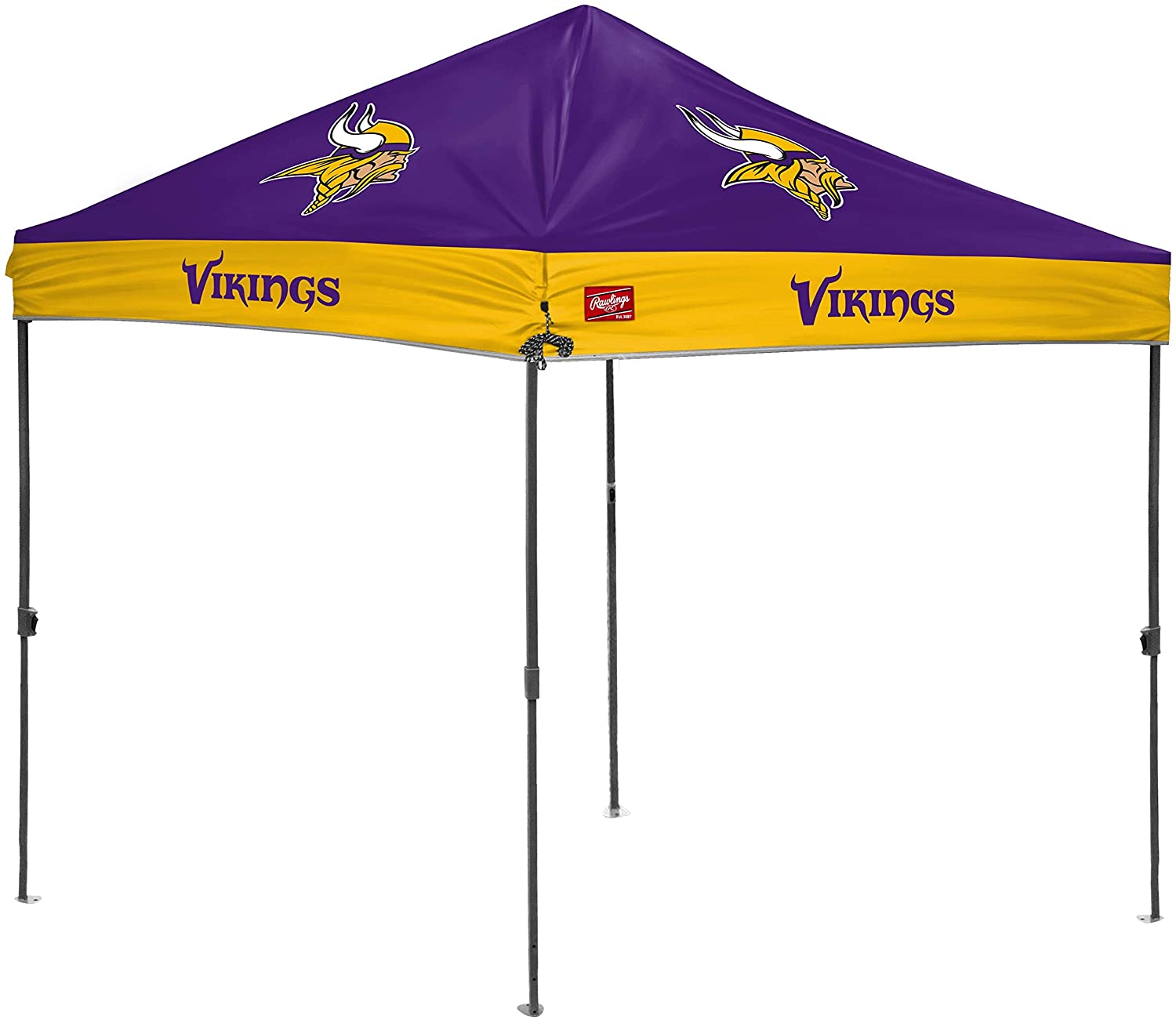 Minnesota Vikings NFL Tailgate Kit